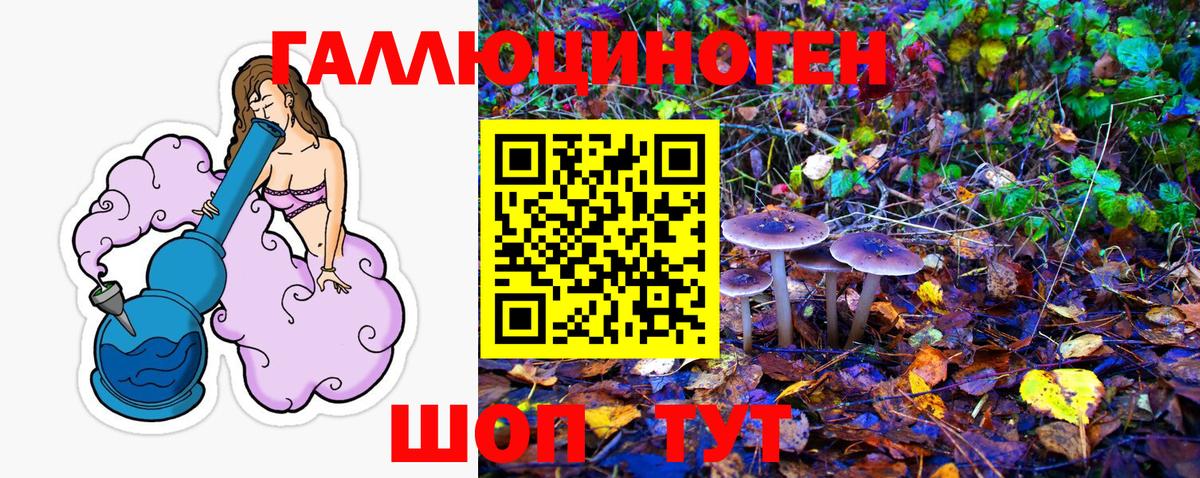 Псилоцибиновые грибы мицелий Алушта